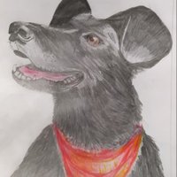 Dorka 38% y 55%💚🧡💜❤️💙 (@dorka075) 's Twitter Profile