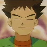 Gym Leader at Pewter City, Rock Pokemon is my speciality
I aspire to be the greatest Pokémon Breeder