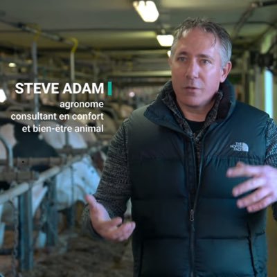 Consultant confort et bien-être animal. Dairy consultant in comfort and welfare - s.adam@live.ca
