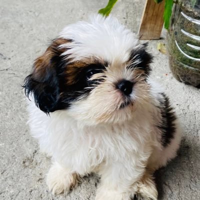 iemTHINtilizing's profile picture. 