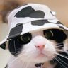 XagnixX's profile picture. 