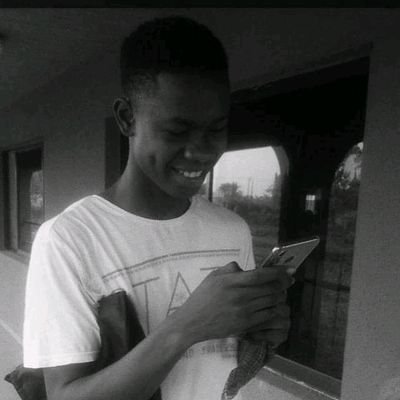 I'm Adegbesan Joshua Temitope a web developer,An Administrator, go programmer.