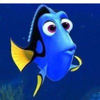 Hind Abdulraziq (@hind_good_cause) 's Twitter Profile Photo