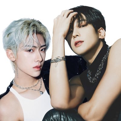 wonwooandricky Profile Picture