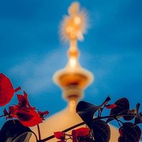 Ali Alhajamy (@a88_rh97) 's Twitter Profile Photo Ali Alhajamy (@a88_rh97) 's Twitter Profile Photo
