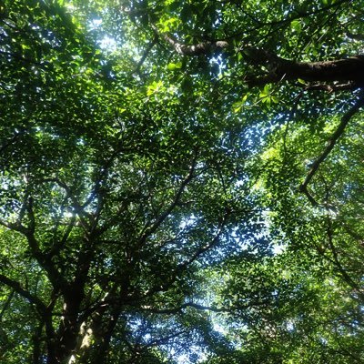 RoAkitaka's profile picture. 