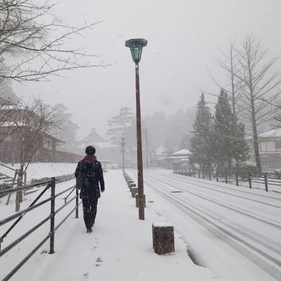 nagata_voice917's profile picture. 仕事しながら楽器も吹きます／自然が好き／HSP／スイーツコンシェルジュ ／ 吹奏楽／ ユーフォニアム
Instagram→https://t.co/hlpFnPBgYm