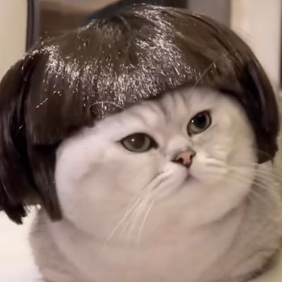 ﾊﾟﾌﾟﾐさんのプロフィール画像