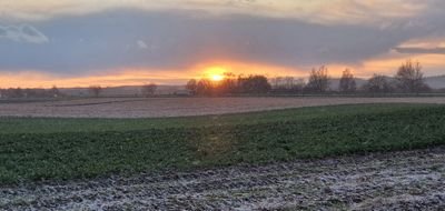 Nowbody472193's profile picture. 