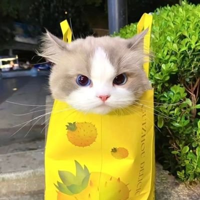 q_dmy's profile picture. 안녕하세요.