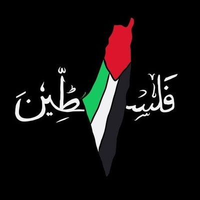 Free Palestine 🇵🇸🔻