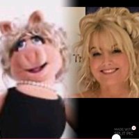 Jo Garty (@jogarty2491) 's Twitter Profile Photo