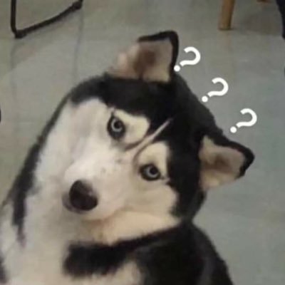 zqwnさんのプロフィール画像