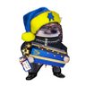 LibraryLass's profile picture. Librarian, history nerd, book lover, traveler. Joined for the war, stayed for the friends. #NAFO #fellas Slava Ukraini! All memes are borrowed.