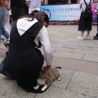 しおねこ (@sionekotokyo) 's Twitter Profile