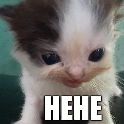 Kotama_Ishigami's profile picture. :))