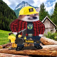 Lumberjack 🇳🇱 supports 🇺🇦, 🇬🇪 (@lauraens21) 's Twitter Profile Photo Lumberjack 🇳🇱 supports 🇺🇦, 🇬🇪 (@lauraens21) 's Twitter Profile Photo