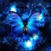 🦋Jonitis🦋 (@jonitis14) Twitter profile photo 🦋Jonitis🦋 (@jonitis14) Twitter profile photo