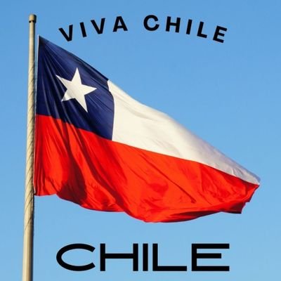 Patriota de Corazón , Jamás votaré igual que un comunista. si para un comunista es malo, es bueno para Chile.