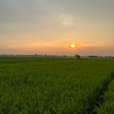 Không đăng gì đâu nên đừng follow =)))