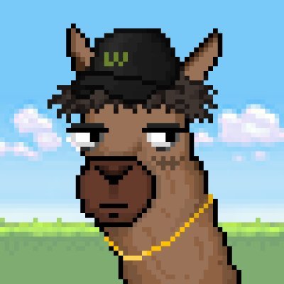 wachirapornkorn's profile picture. 