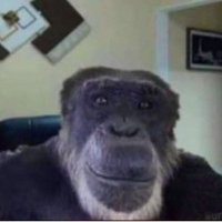 Vadim (@skchcs) 's Twitter Profile