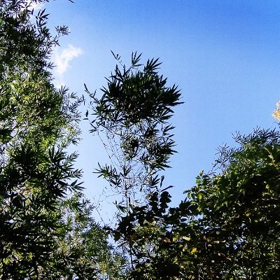 nd07lai's profile picture. 🌞