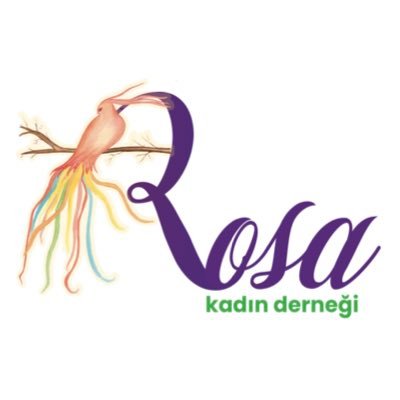 Rosa Kadın Derneği'nin Kurumsal Twitter Hesabıdır