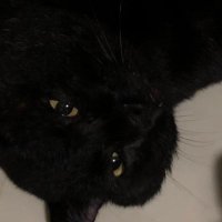 blue braelyn (@favmoo0n) 's Twitter Profile