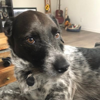 kotaluvssza's profile picture. 