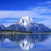 AmericanPatriot (@crazyvetpatriot) 's Twitter Profile