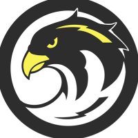 Falcons Ultimate (@bayareafalcons) 's Twitter Profile