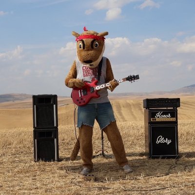 nocontextwazzu's profile picture. Showcasing the absurdity of Wazzu without context. Go Cougs. 

DM Submissions