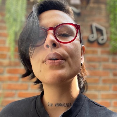 lencha. queer. punk. ⚡️ fui diputada federal independiente en la LXIV legislatura y Secretaria del Ayuntamiento en Monterrey.