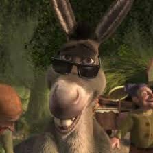 President_D_'s profile picture. 𝗬𝗮𝘀𝗵𝗯𝗼𝘀𝘀 𝗳𝗮𝗻 | 𝗯𝗮𝗰𝗸𝘂𝗽 @shrek_returns #SpreadYashism