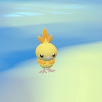 Rose (@dazzlingtorchic) 's Twitter Profile