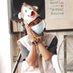 byy (@blackeceekkk) Twitter profile photo byy (@blackeceekkk) Twitter profile photo