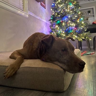 philly_vz's profile picture. 