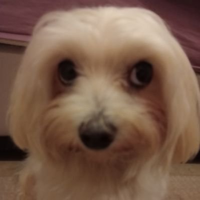 2A7B1FEC's profile picture. 