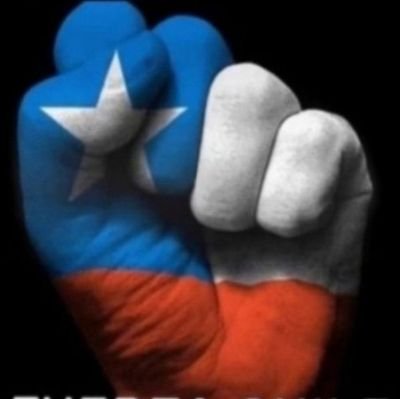 Indignado con la destrucción de Chile y la pérdida progresiva de libertad