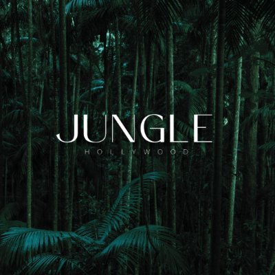 junglehollywood Profile Picture
