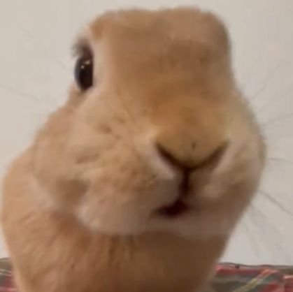 Tw1sted_Halo's profile picture. 