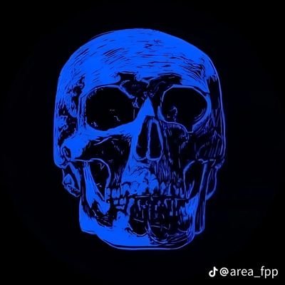 Alucard030512's profile picture. 