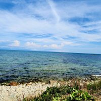 §igma (@osob0219) 's Twitter Profile Photo