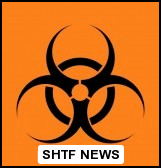 SHTFnews_'s profile picture. 