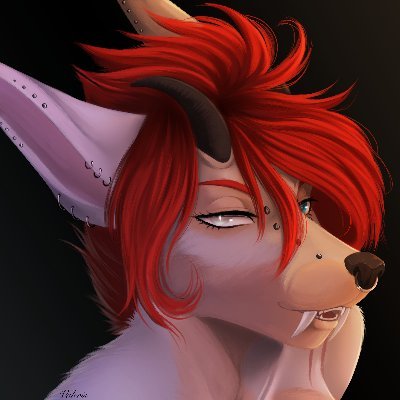 Kami Falkenrathさんのプロフィール画像
