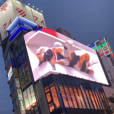 sho192837465's profile picture. 26卒就活
