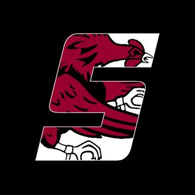 The @Sidelines_SN affiliate for South Carolina | Member of @SSN_CollegeFB | Not Affiliated with @uofsc | #SpursUp #ForeverToThee