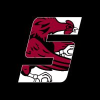 Sidelines South Carolina 🐔🤙🏻(@SSN_Gamecocks) 's Twitter Profile Photo