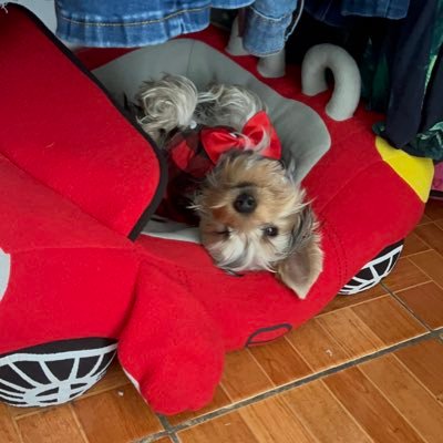 cast78225's profile picture. 